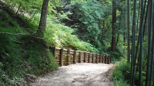 1-Day Tour from Matsumoto: Walk the Nakasendo Trail Day Tours