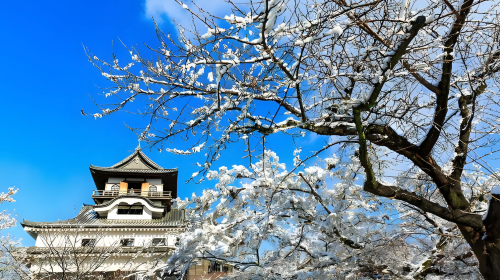 Private charter/transfer/point-to-point vehicle service in Nagoya airport/Shirakawa/Kanazawa/Toyama/Gifu. Customizable itinerary. Day Tours