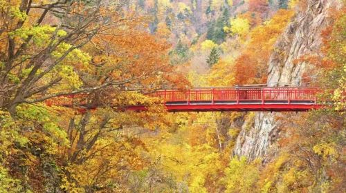 1-day tour to Jozankei & Yuni Garden for maple leaves & flower viewing Day Tours