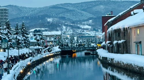 Get a coupon and save instantly [9-person private tour] Hokkaido Cape Kamui + Otaru + Shimabui + Yoichi Distillery Day Tours