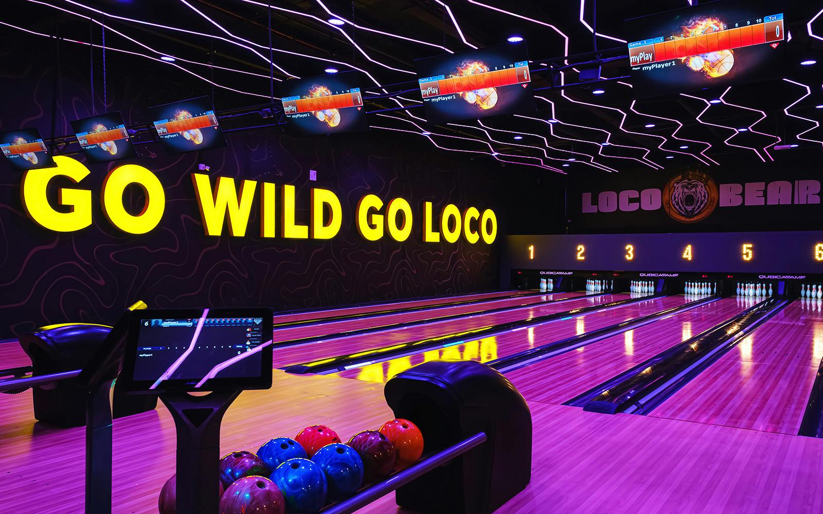 Loco Bear: The Ultimate Entertainment Hub Tickets