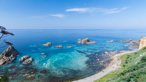 [Departure Guaranteed] Cape Kamui+Shimamui+Otaru Day Tour from Sapporo Day Tours