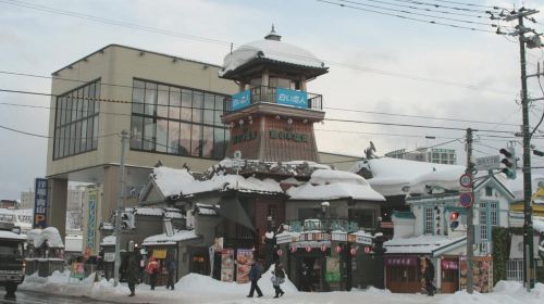 Otaru Aquarium, Ropeway, Cinematic Bus Tour from Sapporo Day Tours
