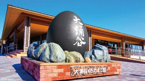 Japan Hakone Shrine & Hakone Ropeway & Owakudani & Lake Yamanaka & Oshino hakkai day tour Day Tours