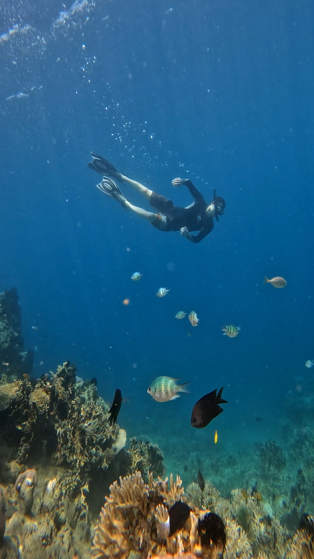Secrate Island Private Snorkling Tour in lombok with go pro