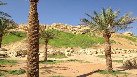 Al Ain City Tour from Abu Dhabi