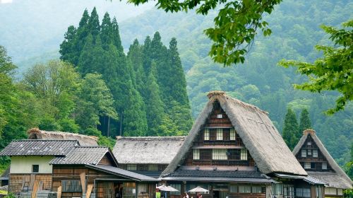World Heritage Day Tour – Explore Shirakawa-go and Gokayama Thatched Villages with Nohi Bus