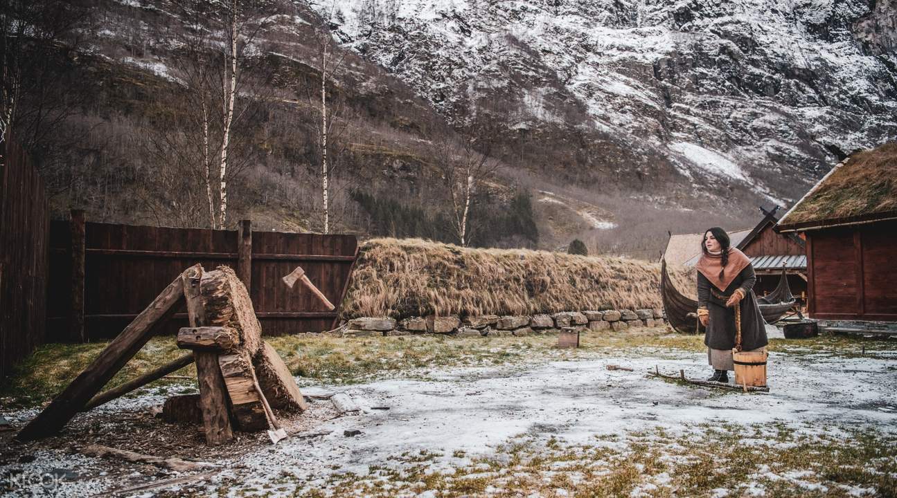 Viking Valley Njardarheimr Entrance Ticket in Gudvangen