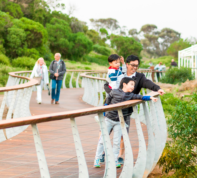 Penguin Parade: General Viewing Ticket