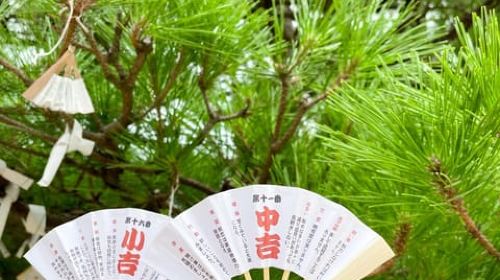 Osaka: Kyoto By The Sea with Amanohashidate & Ine no Funaya Day Tours