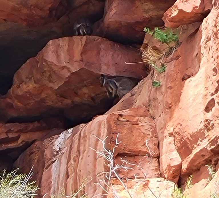 Kalbarri: National Park Canoeing and Hiking Tour