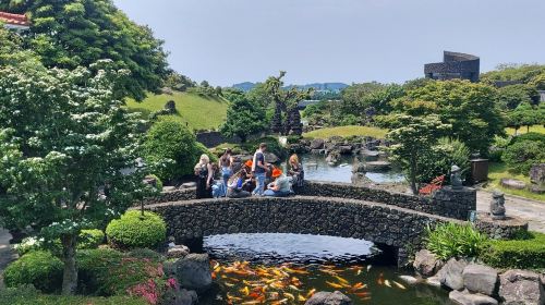 Spirited Garden
