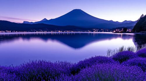 One-Day Tour of Mount Fuji: Arakurayama Sengen Park, Lake Kawaguchi & Oshino Hakkai Day Tours
