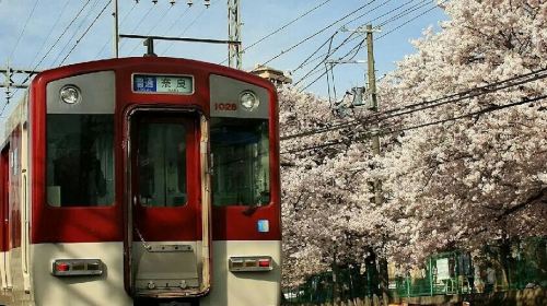 Kintetsu Rail: 1/2/5-Day Pass