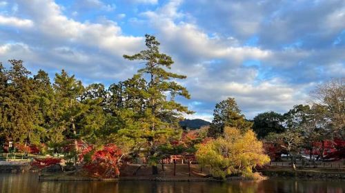 Osaka/Kyoto: Todaiji, Nara Deer, Wakakusayama & Arashiyama