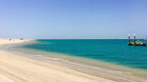 From Dubai Private Tour: Edge of Emirates: East Coast Tour Day Tours