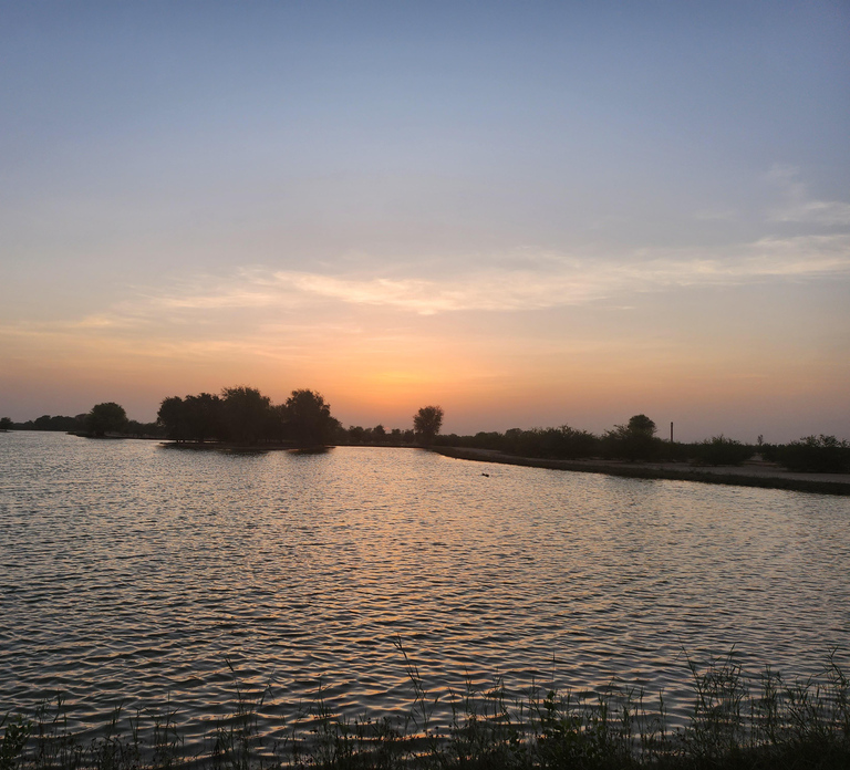 Dubai Nature Escape:Sunset Wildlife & Bird Watching in Oasis