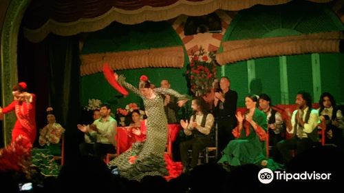 Tablao Flamenco El Palacio Andaluz