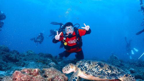 Pingtung Liuqiu Island Diving Experience diving diving 2 Hours – Xiaoliuqiu diving& Sea Turtle Tour