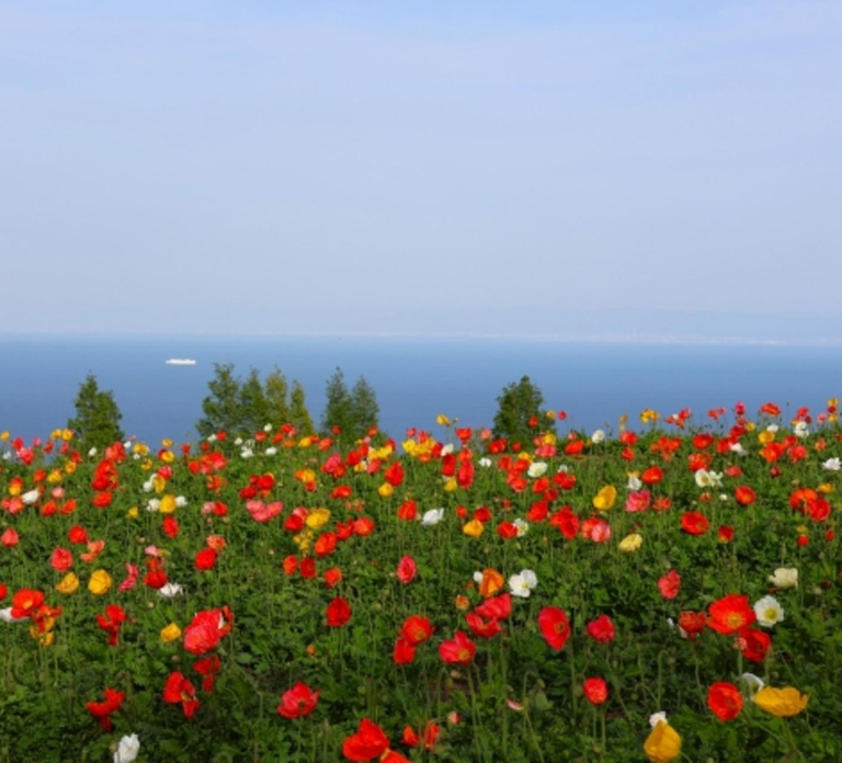 Osaka/Kobe: Awaji Island & Naruto Private Customizable Tour
