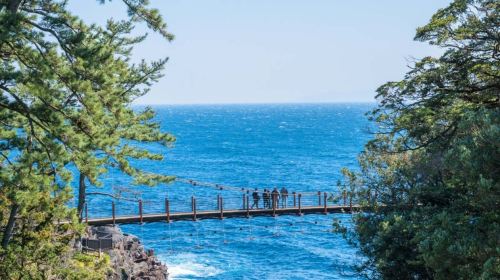 Izu Omuroyama Day Tour from Tokyo: Mt. Omuro, Shaboten Zoo & Jogasaki Coast