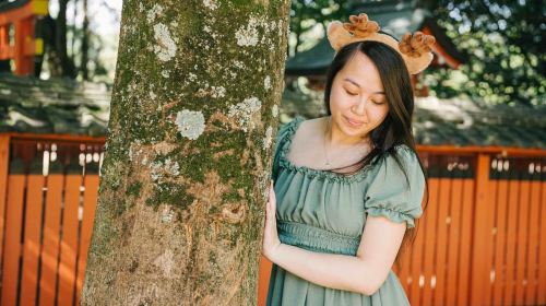 Nara Serenity: Memories Among Deer and Temples Day Tours