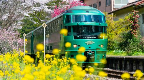 Oita Yufu Forest Sightseeing Train, Beppu cable car, Dazaifu Tenmangu Shrine, and Yufuin 1-day tour
