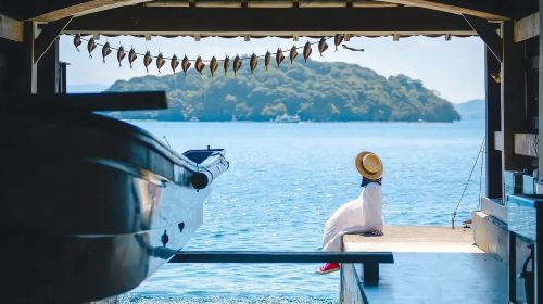 Kyoto by the Sea of Japan – Amanohashidate, Ine Fishing Village
