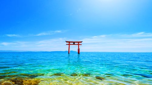 1-day tour to lake biwa, bei lvming art journey, shirahige shrine and floating torii gate