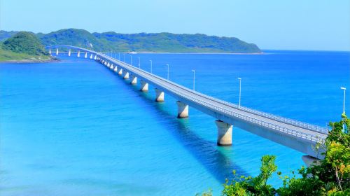 1-day tour to Motonosumi Shrine + Tsunoshima Bridge in Kitakyushu, featuring one of Japan's Three Great Caves