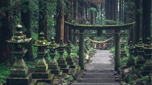 Fukuoka departure: Scenic Takachiho gorge + Amanoiwato shrine Nishi Hongu + Healing journey at Toiwa energy field