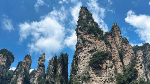 1-on-1 live guided tour in Zhangjiajie – Certified guide – Full Accompanying Service