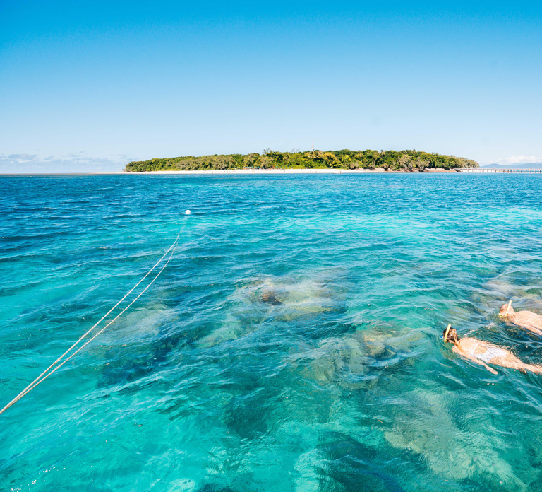 Cairns: Green Island, Snorkelling and Glass-Bottom Boat