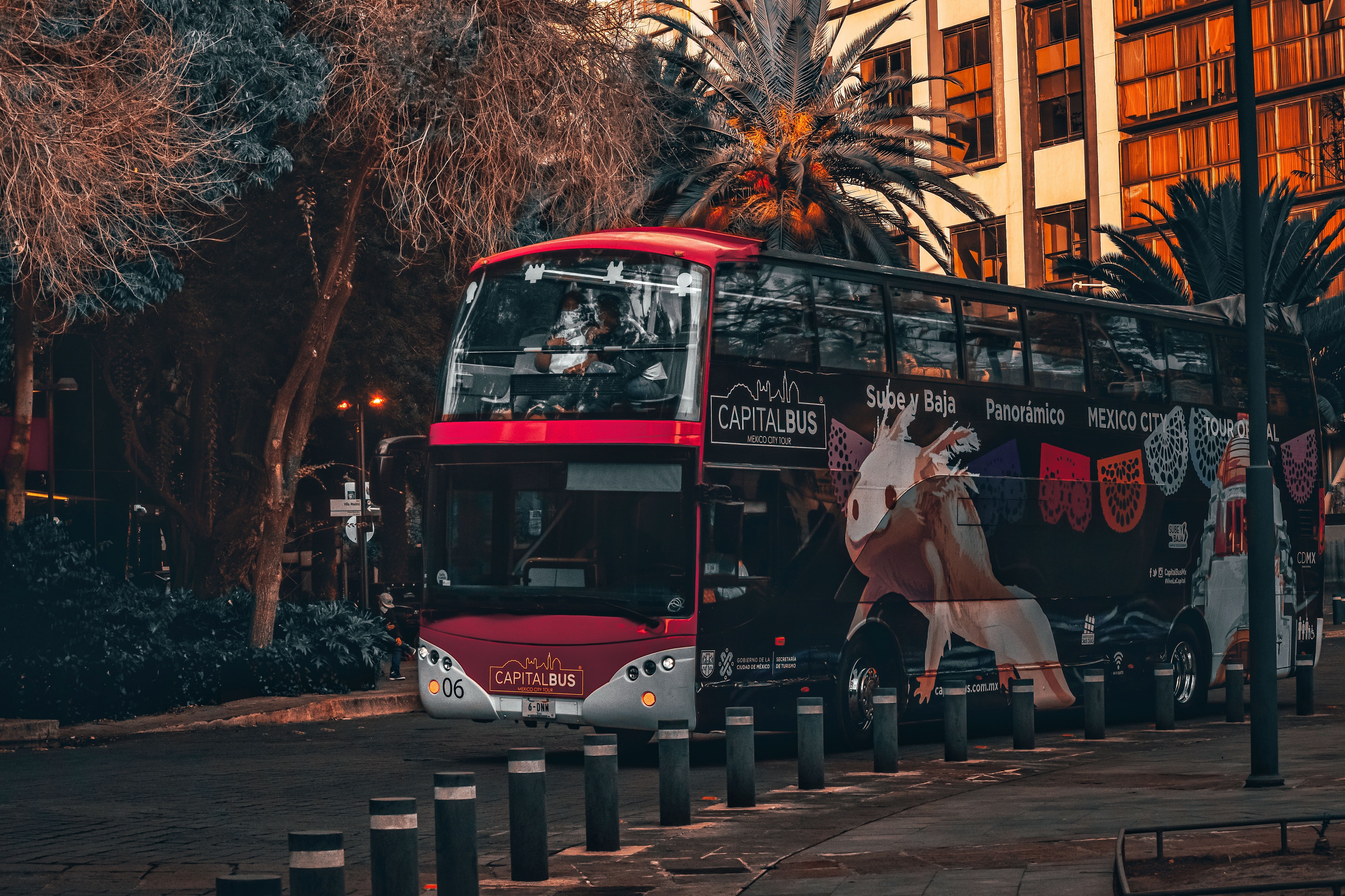Capital Bus Mexico City Night Tour