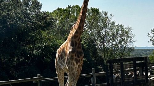 Zoo De La Barben