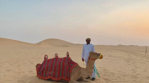 Abu Dhabi Sunset Dune Bashing at Rose Camp with Camel Ride Around Oasis Show + Transfer & Buffet