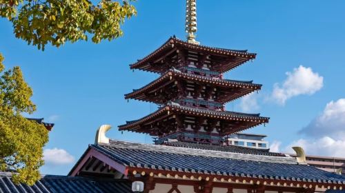 Osaka, Japan: Point-to-point transfer/custom private charter at Kansai airport or train station Day Tours