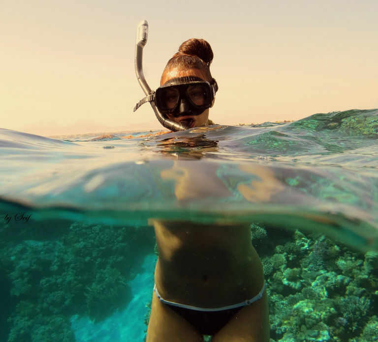 Snorkeling with Turtles: Dubai to Fujairah + Transfer & BBQ