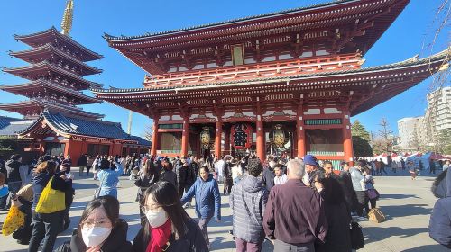 Tokyo Private Tour by Car with English speaking driver Day Tours