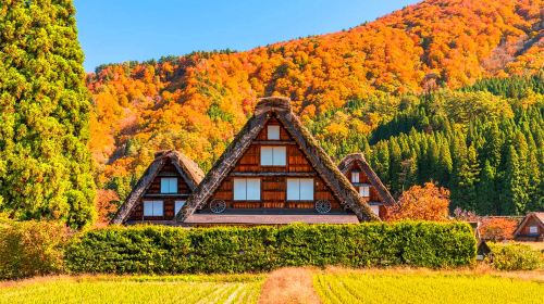 [Depart from Nagoya] Explore the Gassho Village of Shirakawa-go · Alpine Tour · Optional 9-person Small Group