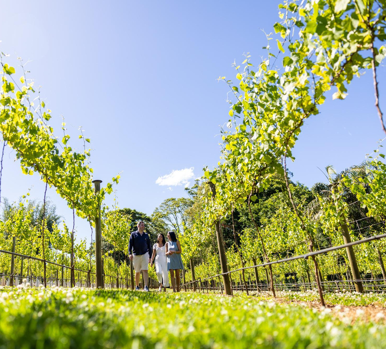 Gold Coast: Tamborine Mountain Local Winery Tour with Lunch