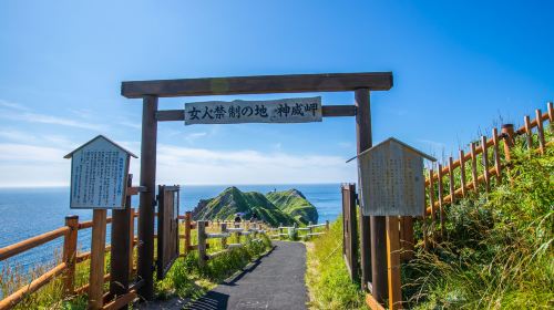 [Departure Guaranteed] Cape Kamui+Shimamui+Otaru Day Tour from Sapporo Day Tours
