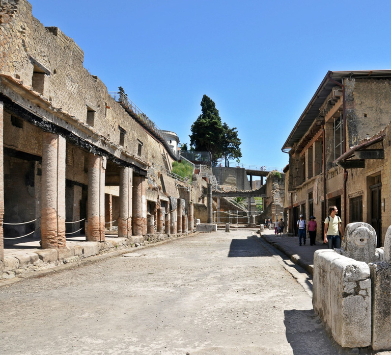 From Naples: Pompeii and Herculaneum Tour with Lunch