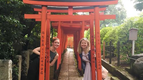 Yanaka Walking Tour: Historic and Traditional District of Tokyo Day Tours