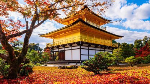 1-day tour in Kyoto and Uji – Kinkaku-ji & Kiyomizu-dera Temple & Byōdō-in - exploring temples and shrines