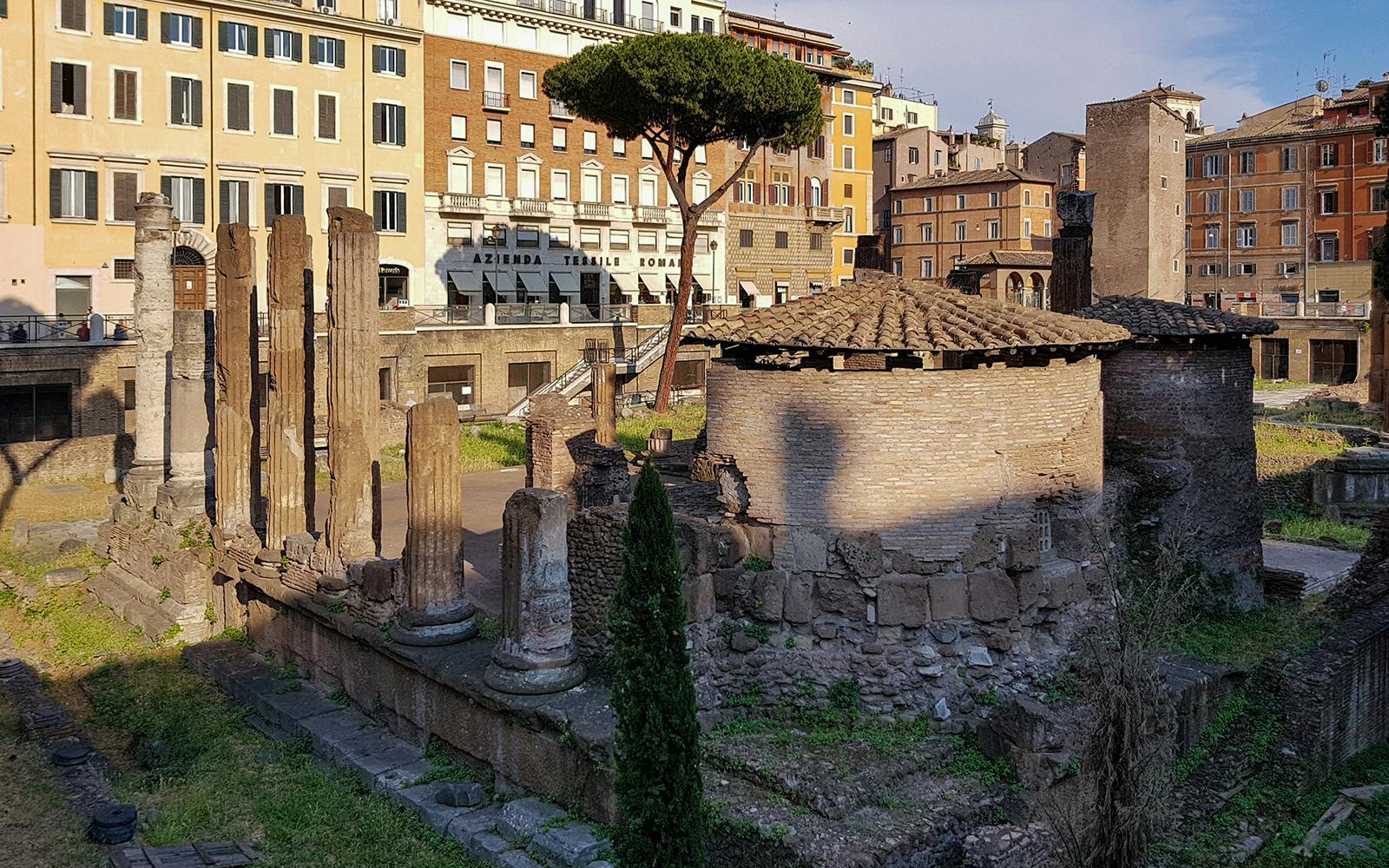 Archaeological Area Largo Argentina Tickets