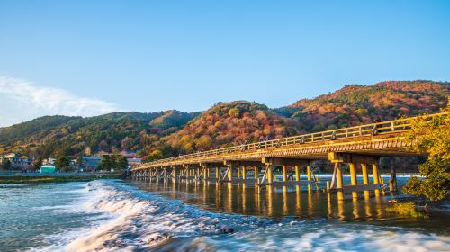 [Guaranteed group] Kyoto Arashiyama + Fushimi Inari Taisha + Nara Park 1-day tour