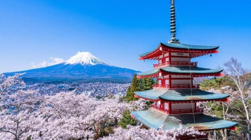 Private Charter Mount Fuji Area for 10 Hours Day Tours