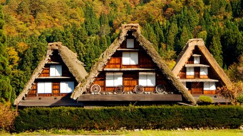Nagoya Shirakawa-go Gassho Village & Hida Takayama 1-Day Tour | Hidden Gem Adventure Day Tours