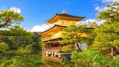 Osaka Private Vehicle Charter with Driver to Kyoto, Nara, Uji or Kobe (English-speaking driver | Customizable itinerary ) Day Tours